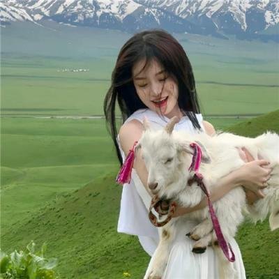 开麦拉狂想曲