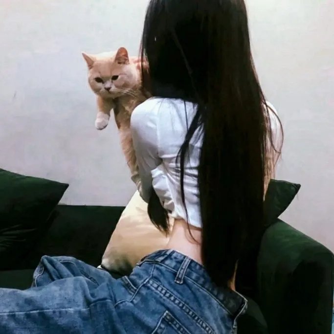 维克多的秘密森林